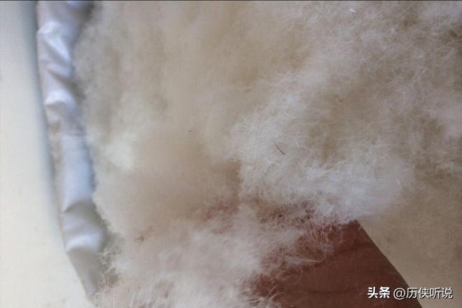 才25元!哪来的利润?能放心吃吗?麻将胡了游戏活鸭上百元一只做成烤鸭(图5) 才25元!哪来的利润?能放心吃吗?麻将胡了游戏活鸭上百元一只做成烤鸭(图5)